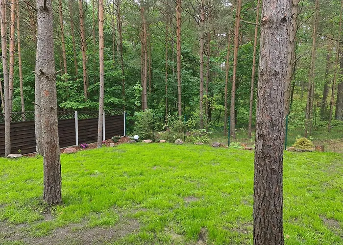 Skrzynia Dom wakacyjny *